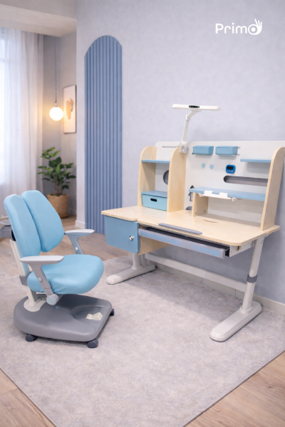 Fundesk Color Options